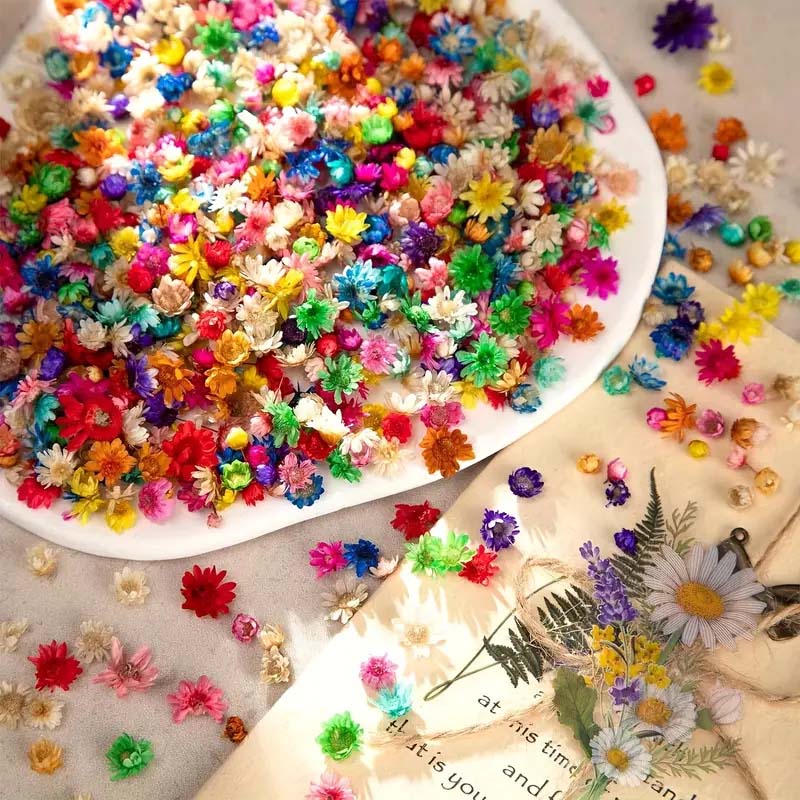 Gemischte bunte Blume zum Wach – Candle Supplies Bulk Bewertung und Preis